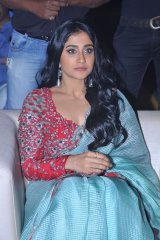 Nakshatram Movie Audio Launch